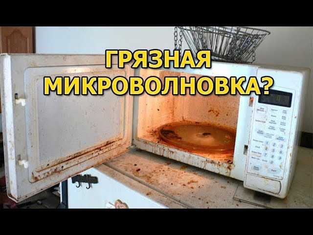 Чем лучше очистить микроволновую печь?