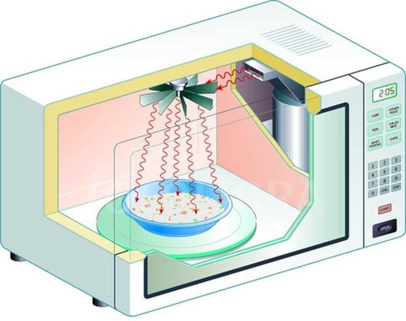 Чем опасна разобранная микроволновка?