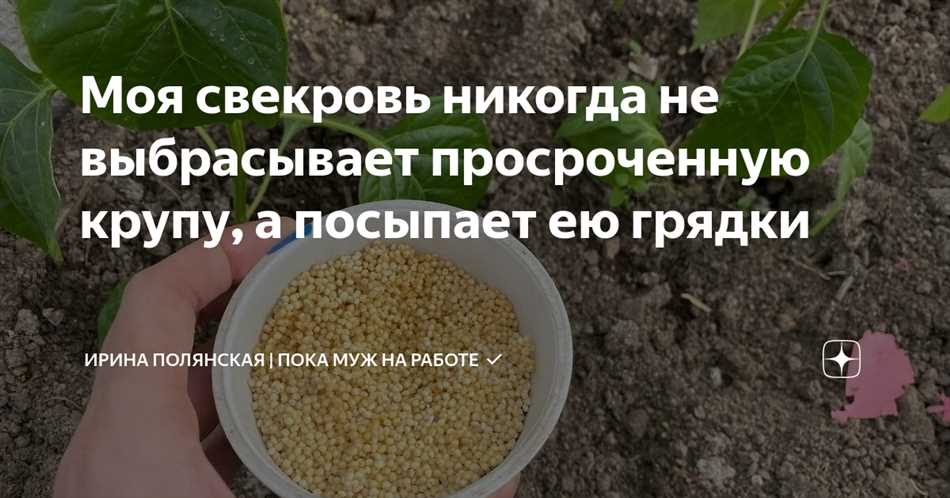 Приготовление компоста из просроченной крупы