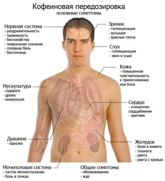 Что если выпить сразу 3 кружки кофе с молоком?