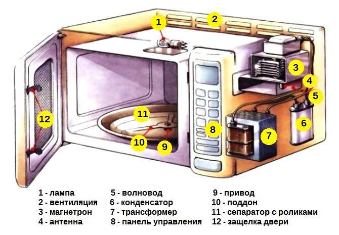 Местонахождение магнетрона в микроволновой печи