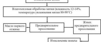 Как осуществляется прессование растительного масла?