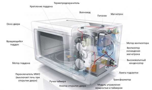 Как работает микроволновка: принцип работы