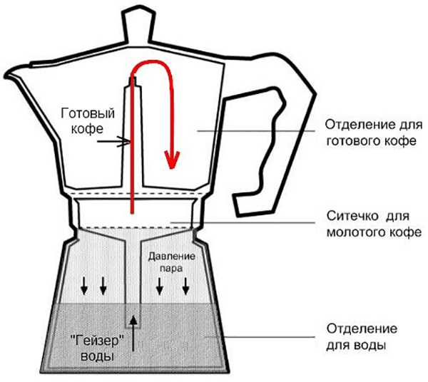 Выбор и приготовление свежих зерен кофе