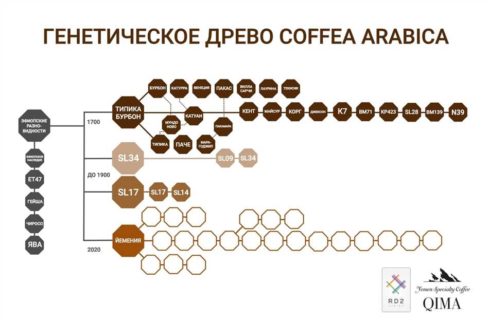 Какая страна продаёт больше всего кофе в мире?