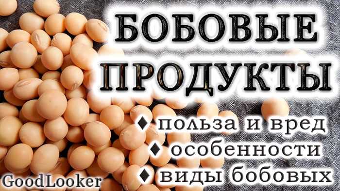 Популярные виды бобовых продуктов