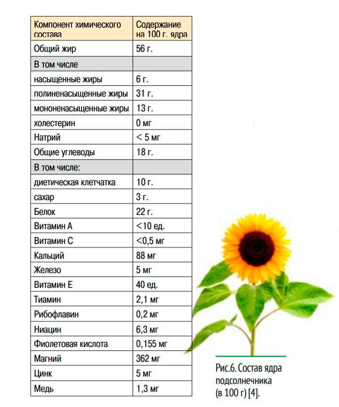Подсолнечник калорийность на 100. Состав семечек подсолнечника таблица. Семена подсолнечника химический состав. Состав семян подсолнечника витамины. Семечки подсолнуха витамины и микроэлементы таблица.