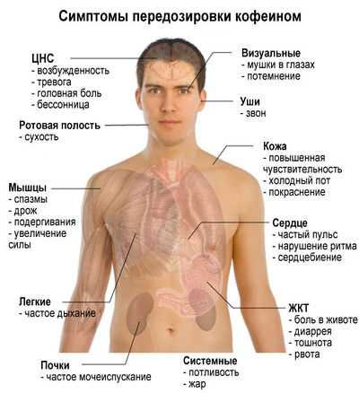 Определение и свойства кофеина