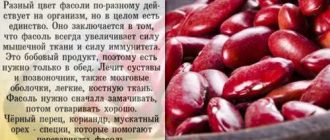 Можно ли есть красную фасоль когда истек срок годности?