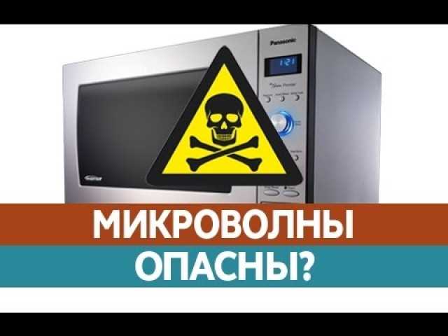 Правильные способы использования микроволновки