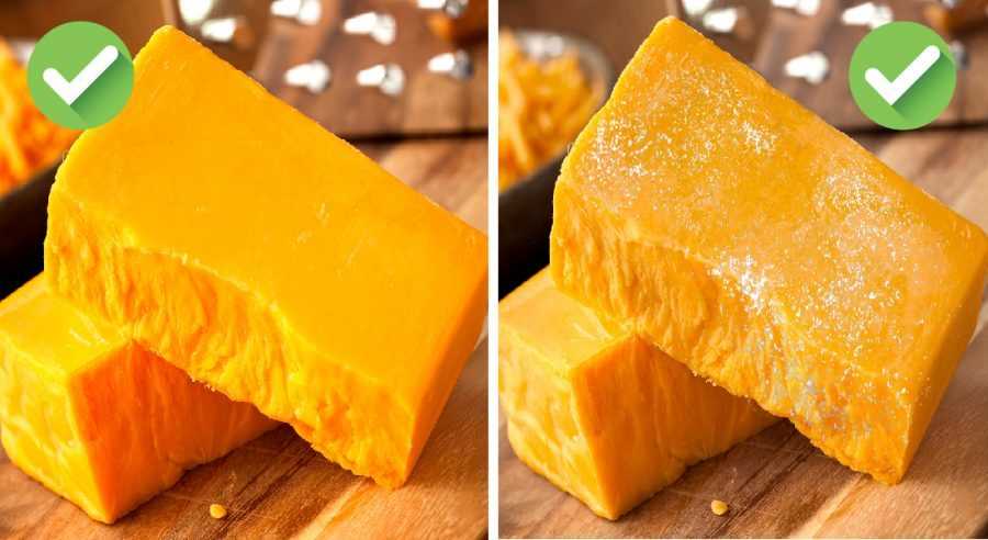 Можно есть просроченный сыр. Просроченный сыр. Что будет если съесть сыр с плесенью просроченный. Просроченный сырок. Что если съесть просроченный сыр.