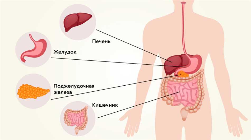 Реакция организма на горячий чай