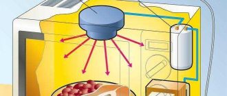 Причины, по которым еда, приготовленная в микроволновке, не так вкусна