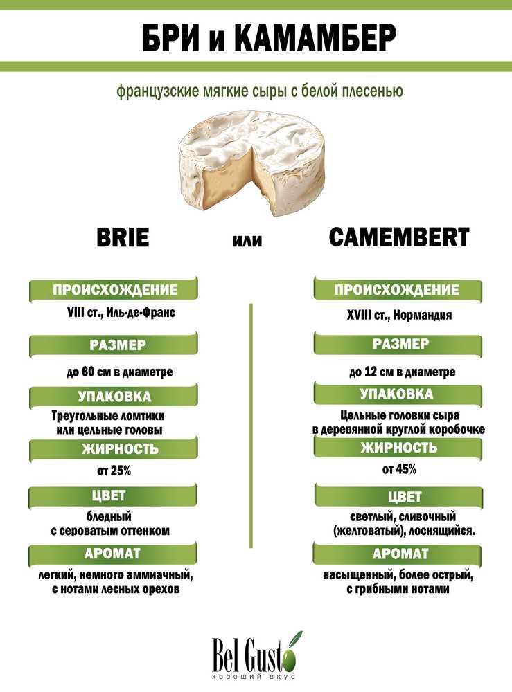 Почему воняет сыр камамбер?