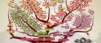 Сколько разновидностей кофейных деревьев существует в мире?