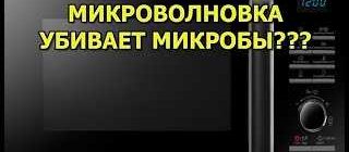 Микроволновая печь: убивает ли она микробы?